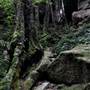 Mermaid's Cave