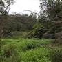 Narrabeen