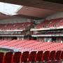 Sydney Showground Stadium