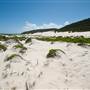 Fingal Spit
