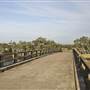 Ash Island Bridge