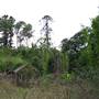 Brownlow Hill - File 2