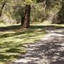 Nielsen Park