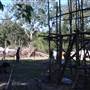 Private Properties - Bamboo, Jungle, Exotic, Forest
