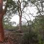 Bradley Reserve