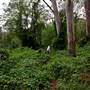 Bradley Reserve