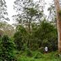 Bradley Reserve