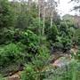 Bradley Reserve