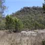 Bushland Creek