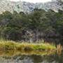Kangaroo valley