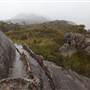Mt Banks