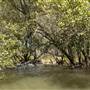Georges River