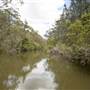 Georges River