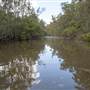 Georges River