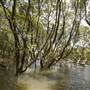 Georges River
