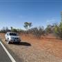 Bourke