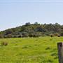 Scenic NSW Equine Centre