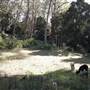 Private Horse Farm - Otford