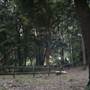 Private Horse Farm - Otford