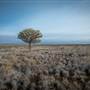 Pinnacles - Broken Hill