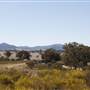 Rylstone