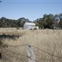 Gulgong