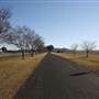 Mudgee
