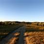 Hopeful Ranch Olive Farm File 1