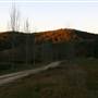 Hopeful Ranch Olive Farm File 1