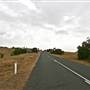 Hopeful Ranch Olive Farm File 5 Roads