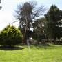 Holy Trinity Church Bathurst