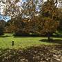 Centennial Park