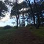 Centennial Park