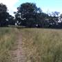 Centennial Park