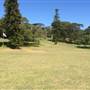 Centennial Park