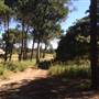 Centennial Park