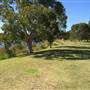 Centennial Park