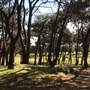 Centennial Park
