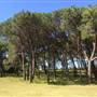 Centennial Park