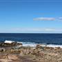 Clovelly Beach