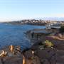 Dunningham Reserve Coogee