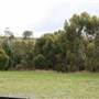 Carcoar Churches 2014