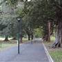 The Domain - Royal Botanic Garden Sydney