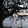 Mrs. Macquarie's Point - Royal Botanic Garden Sydney
