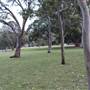 Mrs. Macquarie's Point - Royal Botanic Garden Sydney