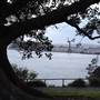 Mrs. Macquarie's Point - Royal Botanic Garden Sydney