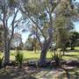 Centennial Park - Cannon Triangle