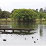 Centennial Park - Duck Pond