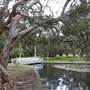 Centennial Park - Lachlan Reserve