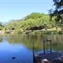 Centennial Park - Musgrave Pond